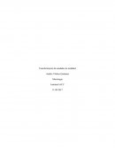 Transformacion de unidades de medidad EMPRESA MADERAS RUN