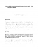 Importancia de las Tecnologías de Información y Comunicación en la Organización Laboral