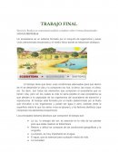 Trabajo Final Educacion Ambiental