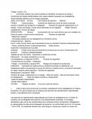 TRABAJO CARRIOX
