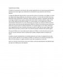 La filosofia del futbol