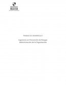 Ingeniería en Prevención de Riesgos. Administración de la Organización