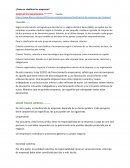 Como se clasifican las empresas