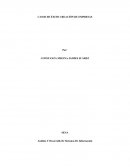 Casos de éxito creación de empresa