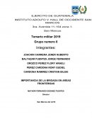 IMPORTANCIA DE LA BRIGADA EN AREAS FRONTERISAS