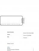 Cosmetologia, hidratación profunda orientado a adolescentes