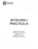 BITÁCORA I PRÁCTICA III