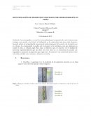 IDENTIFICACIÓN DE PIGMENTOS VEGETALES POR CROMATOGRAFÍA EN PAPEL