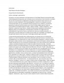 Ensayo Derecho Penal General Cultura, Liderazgo y supervivencia