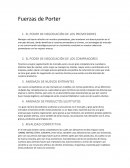 FUERZAS DE PORTER