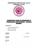 PROYECTO: PLAN DE MARKETING Y PROMOCION EMPRESARIAL “SALADS SPRING”