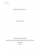 Análisis de Caso Práctico COPTA S.A