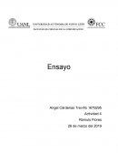 Ensayo sobre marketing político