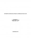 INSTRUMENTO DE MEDICION DE PRESION Y DEFORMACION PARA PILOTES