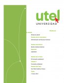 COMPETENCIAS Y FORMACIÓN PROFESIONAL