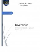 Marco teórico - Diversidad organizacional