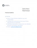 ACTIVIDAD Buscar 2 tipos de textos (distintos) que sean multimodales