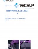 LABORATORIO N°1 HIDROMETALURGIA Lixiviación