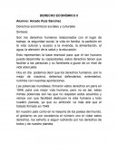 Derechos económicos sociales y culturales