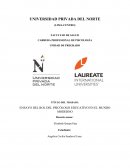 El rol del psicólogo educativo en el mundo moderno