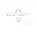 PRINCIPIOS DE VIGOTSKY Psicología Cultural
