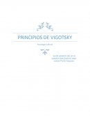 PRINCIPIOS DE VIGOTSKY Psicología Cultural