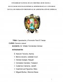 Capacitacion y promocion para el trabajo