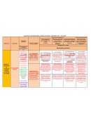 MATRIZ DE DESEMPEÑOS COMPUTACIÓN E INFÓRMATICA 1ER AÑO