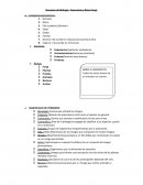 Resumen de Biología- Taxonomía y Reino fungi