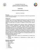 LABORATORIO EFECTO DE LA GRANULOMETRÍA EN FLOTACIÓN