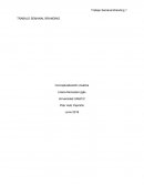 TRABAJO SEMANAL BRANDING Conceptualización creativa