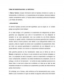 INVESTIGACION: LA HIPOTECA