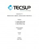 HIDRATOS DE CARBONO- AMINOÁCIDOS Y PROTEÍNAS