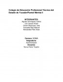 Empresa MG COMPUTACION Y ELECTRONICA S DE RL DE CV