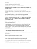 Derecho Comunitario Tema 1