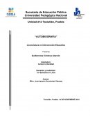 Interaccion Social Desarrollo Del Lenguaje Y Congnitivo