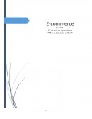 Plan de negocios. Descripción del negocio. La organización “Regalos Ecológicos”