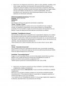 Prioridades Competitivas Empresas: HOTYS Y NETFLIX