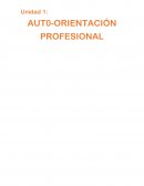 Auto-orientación profesional