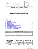 PLANTILLA PROCESO