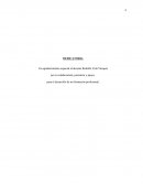 Ensayo contrataciones del estado