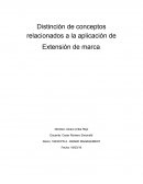 Distinción de conceptos relacionados a la aplicación de Extensión de marca