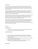 Historia de la reforma y contra reforma