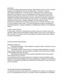 TA MKT 2 producto creado Sublime Crispy