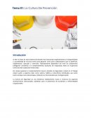 Cultura de seguridad