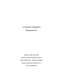 La Empresa: diagnóstico Chilexpress S.A