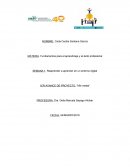 Fundamentos para el aprendizaje y el éxito profesional. “Mis metas”