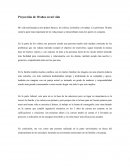 Proyección de 10 años en mi vida