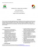 NORMAS EN EL LABORATORIO DE QUÍMICA