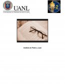 Analisis de novela Pedro y Juan